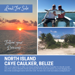 Land for sale north island caye caulker